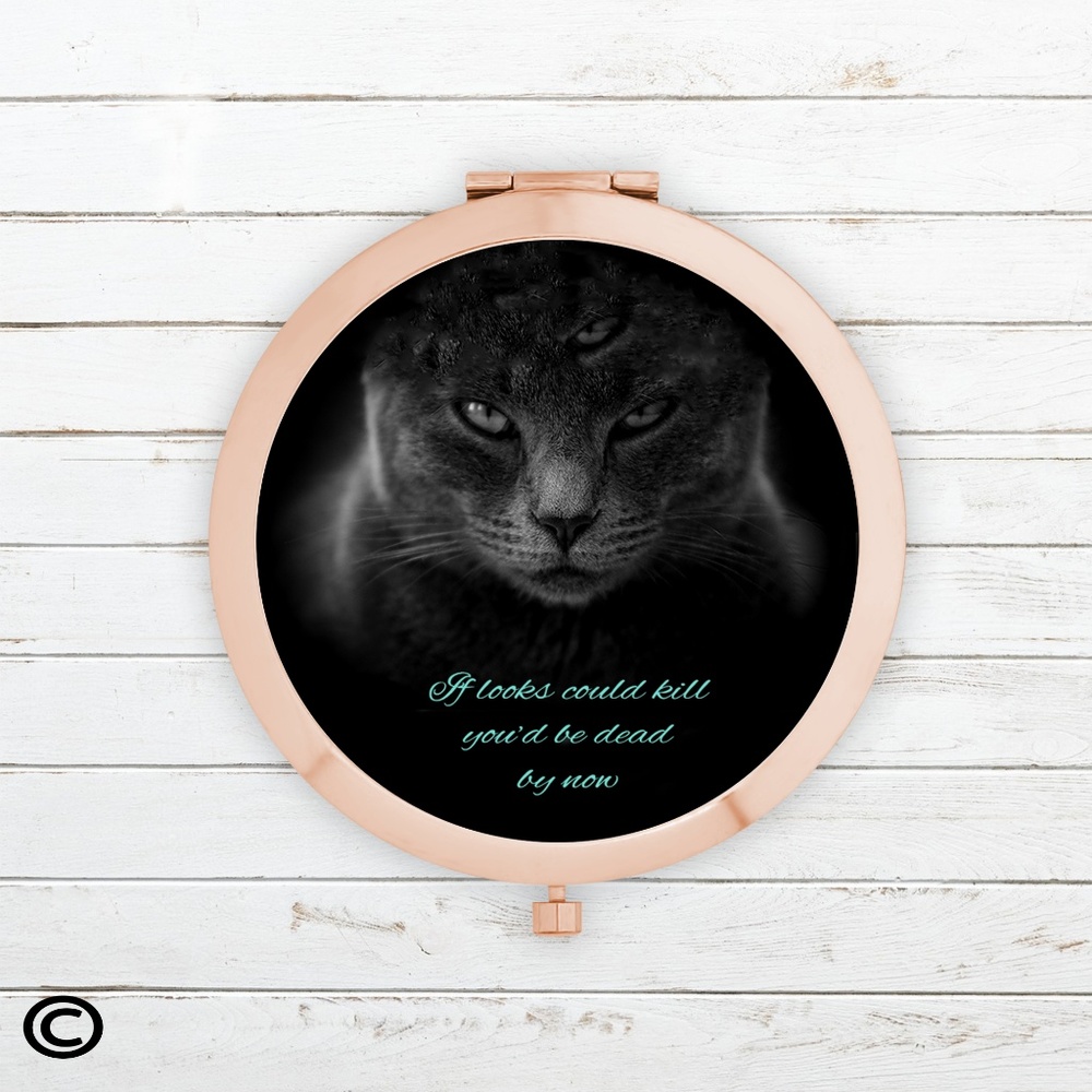 Funny Motivational Compact Mirrors